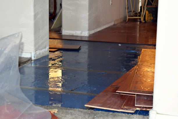 Professional Water Extraction technician working in Guy, TX